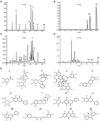 Regulation of Yujin Powder alcoholic extracts on ILC3s-TD IgA-colonic mucosal flora axis of DSS-induced ulcerative colitis